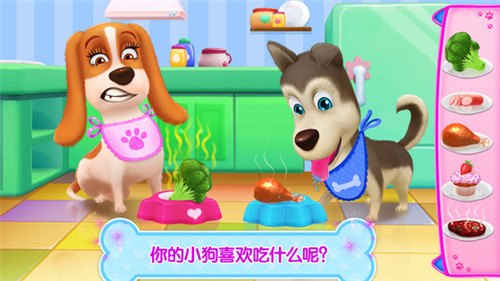 小狗狗的生活