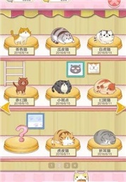 貓宅日記