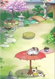 貓宅日記