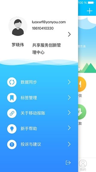 友報(bào)賬