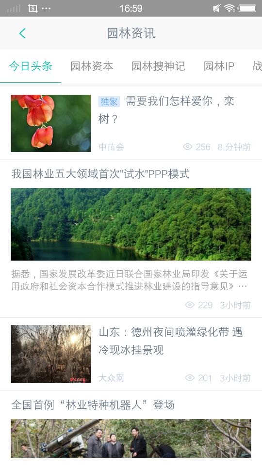 宜良苗木