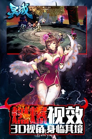 靈域手游9665版