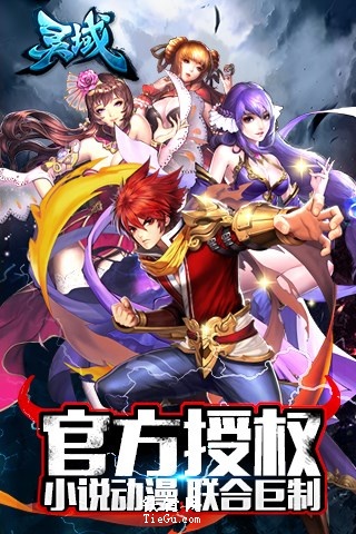 靈域手游9665版