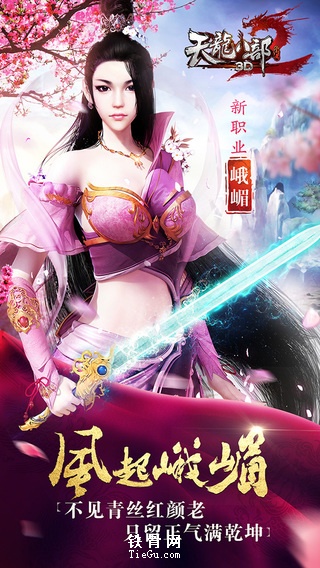 天龍八部手游9665版