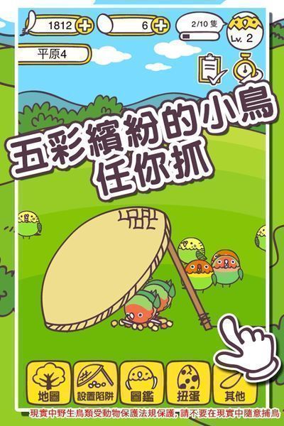抓小鳥(niǎo)