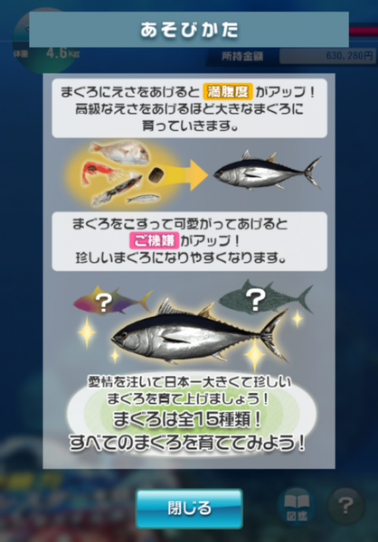 金槍魚養殖
