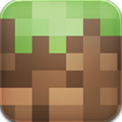 口袋視頻官方版