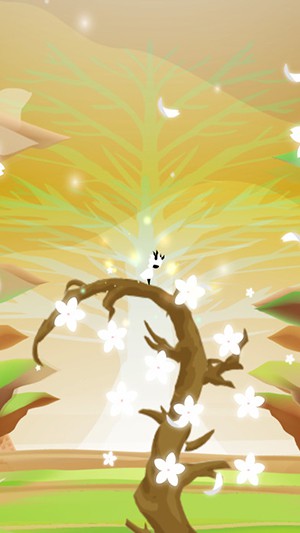 花開世界