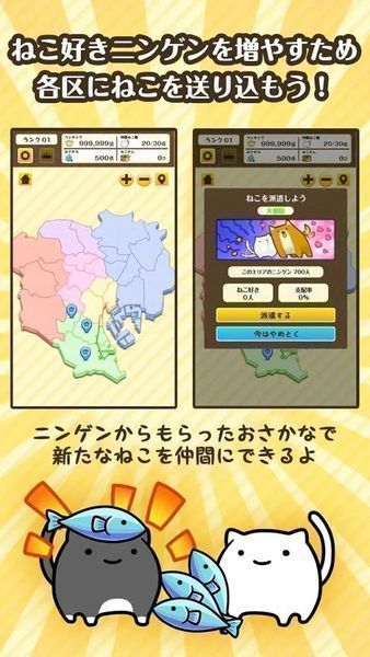 貓咪的野望