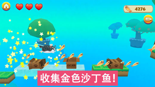 貓小盒2安卓版