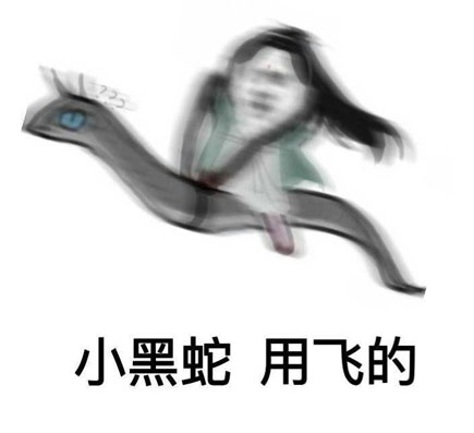 小黑蛇我們走表情包