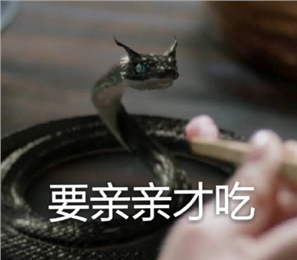 小黑蛇我們走表情包