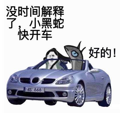 小黑蛇我們走表情包