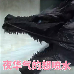 小黑蛇我們走表情包