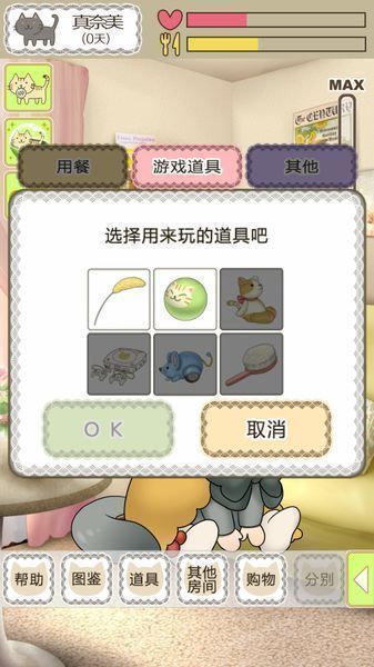 我家不可思議的貓咪