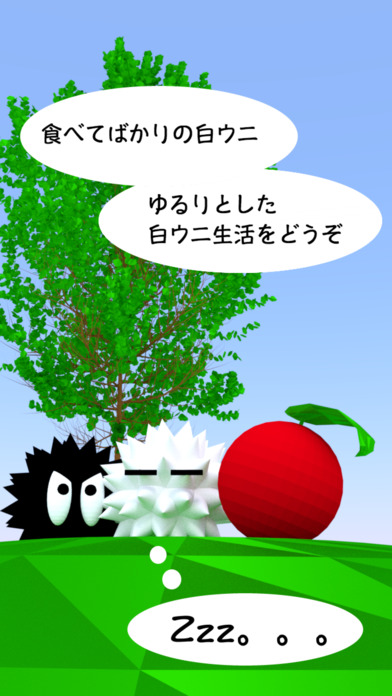 白色海膽的日常