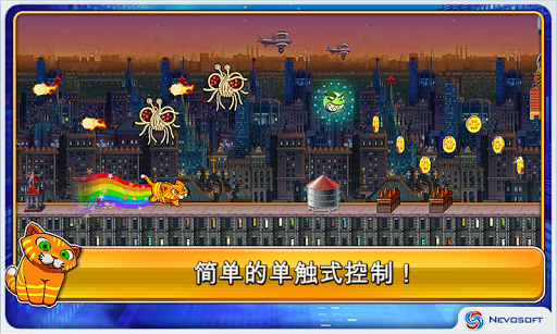 城市貓