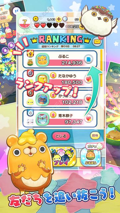 PURU POM 正式版