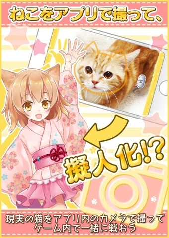 貓耳幸存者