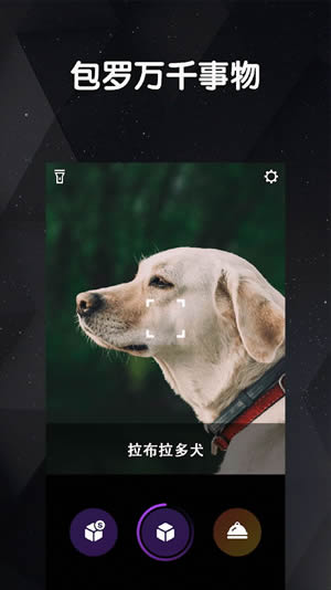 看道