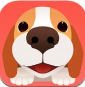 聞聞窩寵物社區