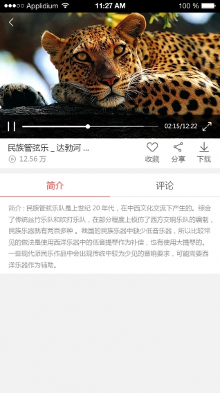 帶魚舞臺 安卓版