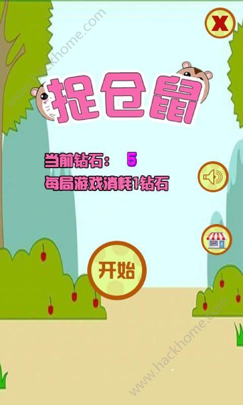 捉倉鼠