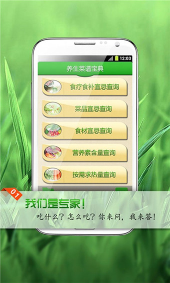 養生菜譜寶典app