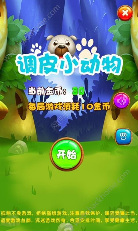 調皮小動物