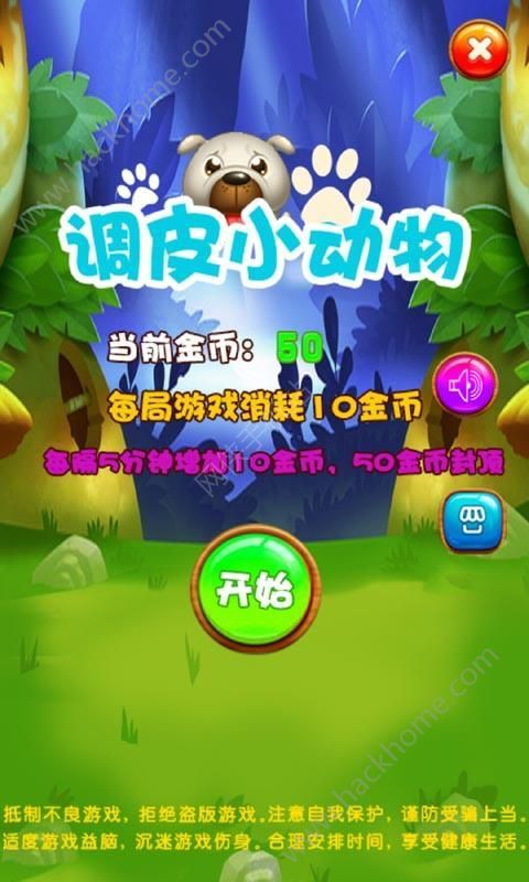 調皮小動物