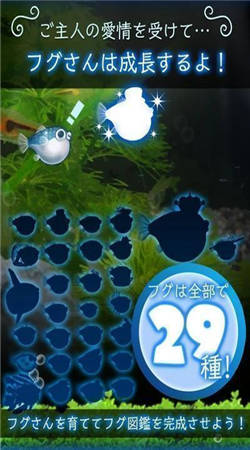 我的河豚魚水族館