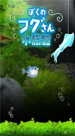 我的河豚魚水族館