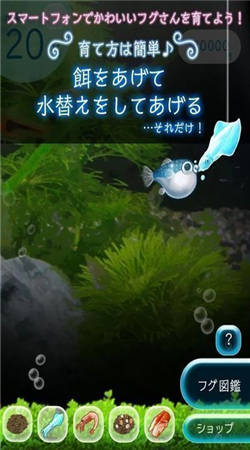 我的河豚魚水族館