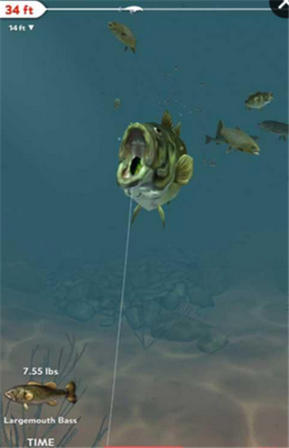 職業釣魚每日捕撈 漢化版