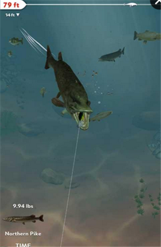職業釣魚每日捕撈 漢化版