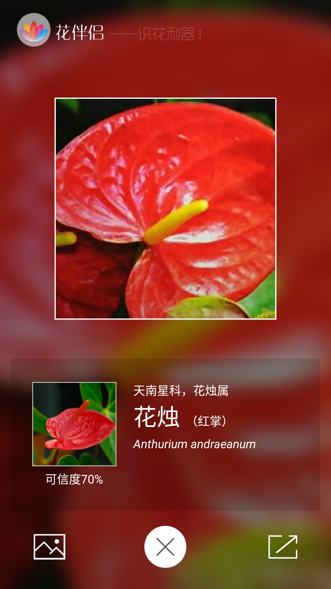 花伴侶