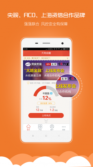 大地金融