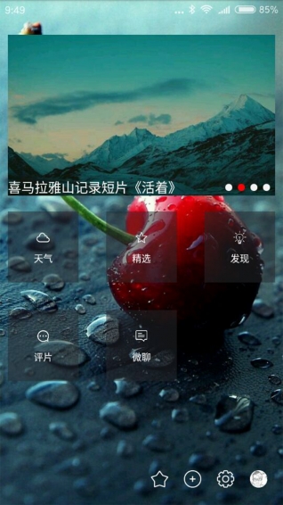 短尾鱷