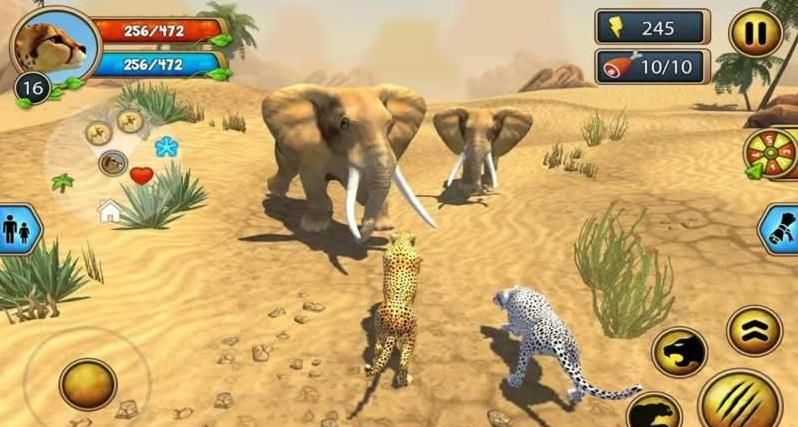 獵豹家庭3D 中文版