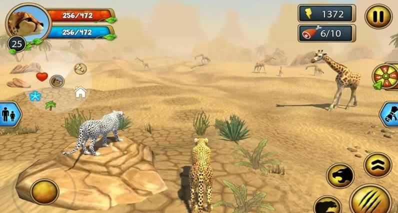 獵豹家庭3D 中文版