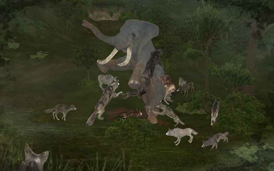 野生動物Online