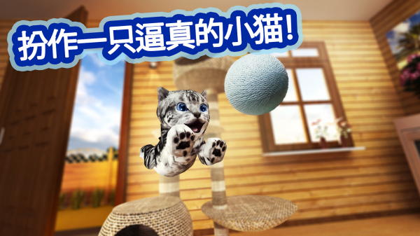 野貓模擬器