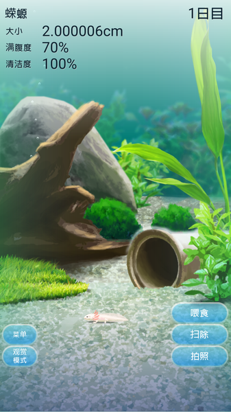 治愈的蠑螈育成游戲