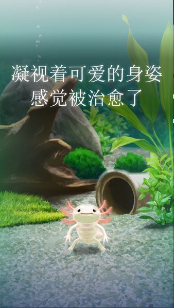 治愈的蠑螈育成游戲