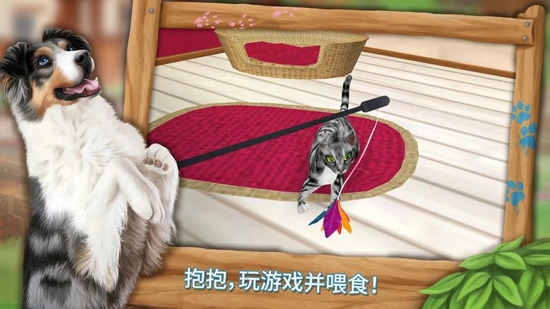 我的動物寄養所