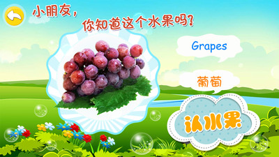 寶寶認水果