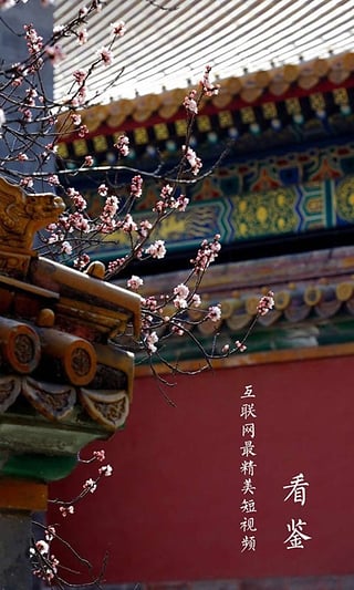 看鑒歷史
