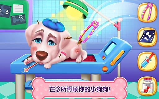 小狗的生活秘密寵物派對