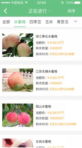 儂拍拍
