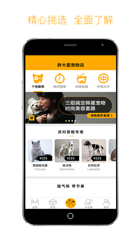 羋糕寵物
